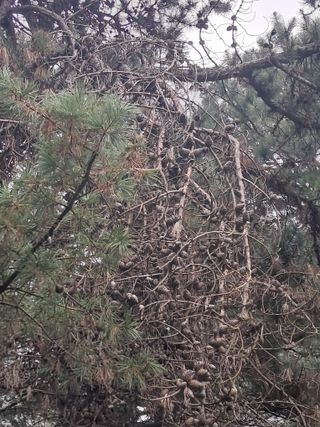 시금치6781님의 자유주제 · 자유게시판 작성글 사진