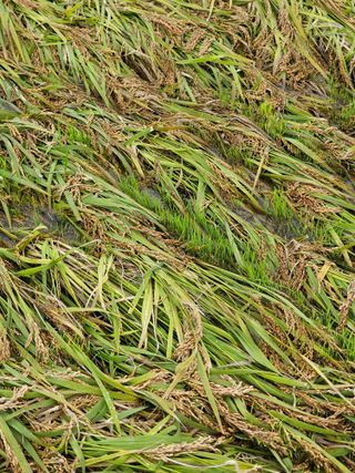 양철주님의 자유주제 · 자유게시판 작성글 사진