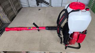 산딸기성관님의 작성글 사진