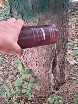 시금치6781님의 자유주제 · 자유게시판 작성글 사진