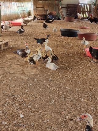 민들레님의 작성글 사진