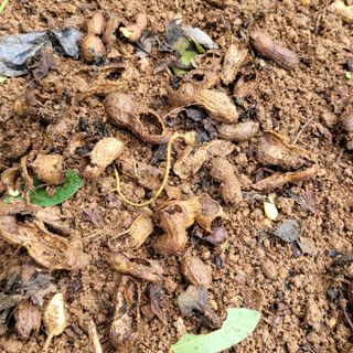 이창화님의 자유주제 · 자유게시판 작성글 사진