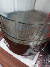 팜모닝 자유주제·자유게시판 게시글 이미지