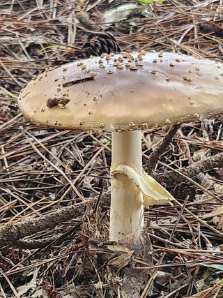 석헌님의 자유주제 · 자유게시판 작성글 사진