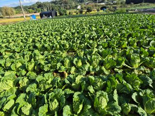 중청3595님의 자유주제 · 자유게시판 작성글 사진