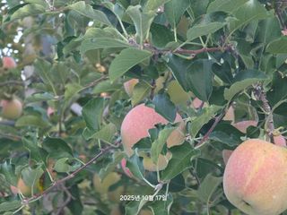 화성농원님의 자유주제 · 건의해요 작성글 사진