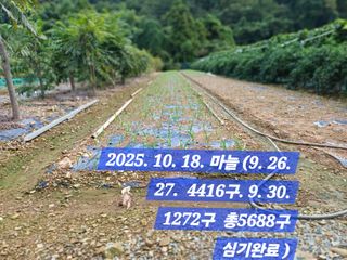 박성민님의 자유주제 · 자유게시판 작성글 사진