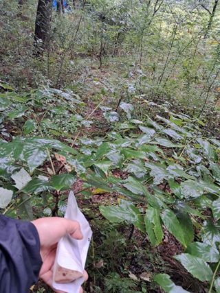 시금치6781님의 자유주제 · 자유게시판 작성글 사진