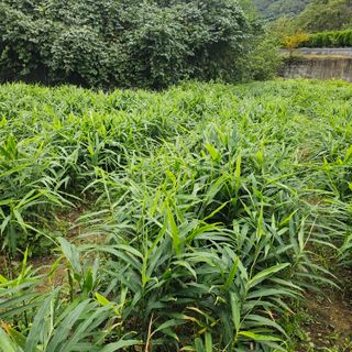 최군환님의 자유주제 · 자유게시판 작성글 사진