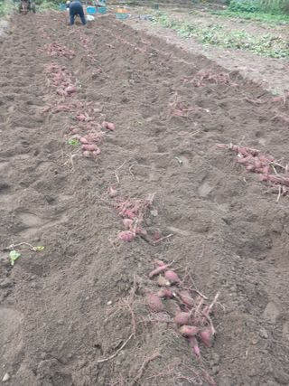 전국하님의 자유주제 · 자유게시판 작성글 사진