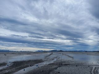 연향님의 자유주제 · 자유게시판 작성글 사진