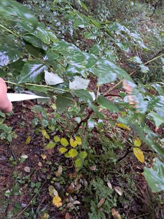 시금치6781님의 자유주제 · 자유게시판 작성글 사진