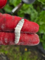 팜모닝 농사, 무엇이든 물어보세요!·참여글 게시글 이미지