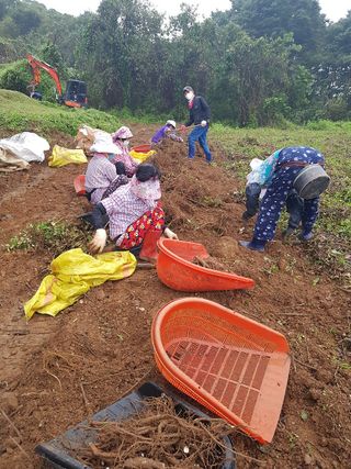이호성님의 자유주제 · 자유게시판 작성글 사진