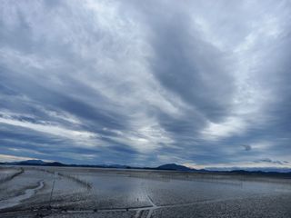 연향님의 자유주제 · 자유게시판 작성글 사진