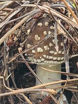 팜모닝 자유주제·자유게시판 게시글 이미지