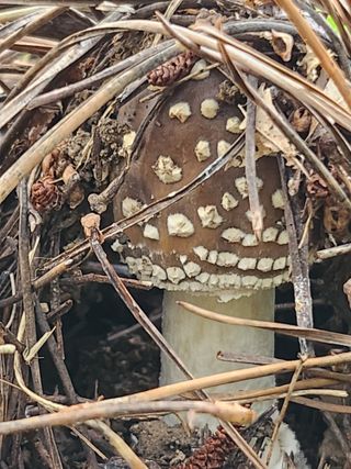 석헌님의 자유주제 · 자유게시판 작성글 사진