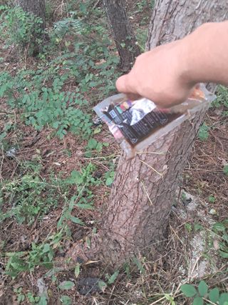 시금치6781님의 자유주제 · 자유게시판 작성글 사진