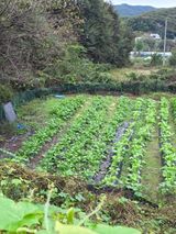 팜모닝 자유주제·자유게시판 게시글 이미지