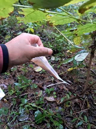 시금치6781님의 자유주제 · 자유게시판 작성글 사진