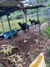 팜모닝 · 게시글 이미지