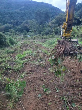 이호성님의 자유주제 · 자유게시판 작성글 사진