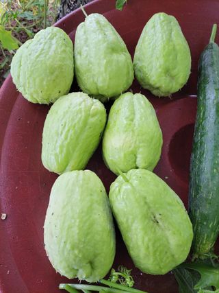 원빈님의 자유주제 · 자유게시판 작성글 사진