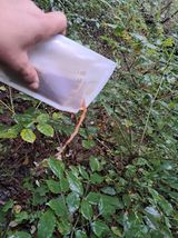 팜모닝 자유주제·자유게시판 게시글 이미지