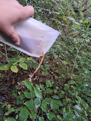 시금치6781님의 자유주제 · 자유게시판 작성글 사진