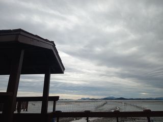 연향님의 자유주제 · 자유게시판 작성글 사진