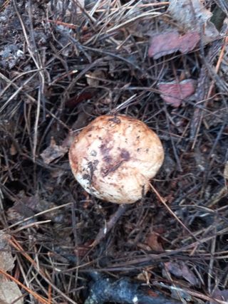 연향님의 자유주제 · 자유게시판 작성글 사진