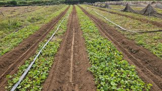 조병대님의 작성글 사진