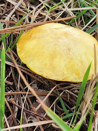 석헌님의 자유주제 · 자유게시판 작성글 사진