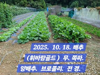 박성민님의 자유주제 · 자유게시판 작성글 사진