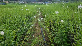 조병대님의 작성글 사진