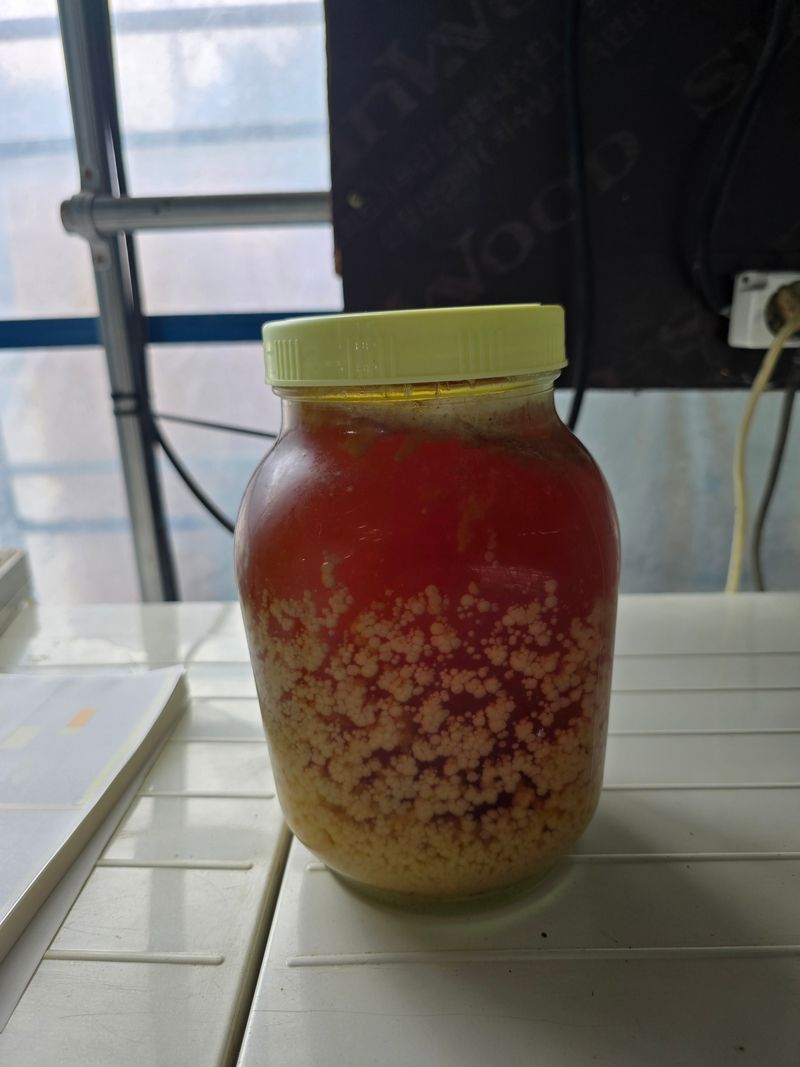 중봉 남일준님의 장터 판매 상품 [토종꿀2.4kg] 첨부 사진