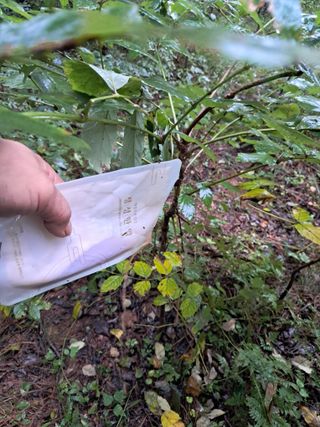 시금치6781님의 자유주제 · 자유게시판 작성글 사진