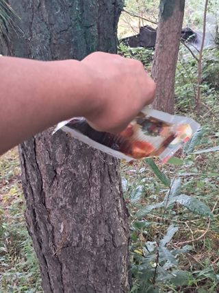 시금치6781님의 자유주제 · 자유게시판 작성글 사진