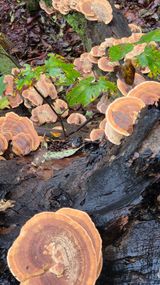 팜모닝 자유주제·자유게시판 게시글 이미지