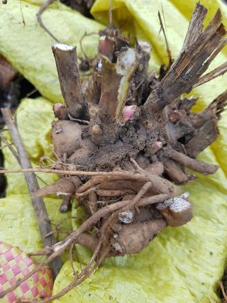 이호성님의 자유주제 · 자유게시판 작성글 사진