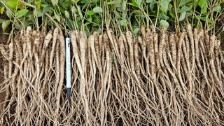 조병대님의 작성글 사진