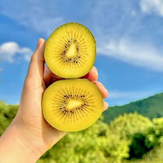 농부손녀님의 작성글 사진