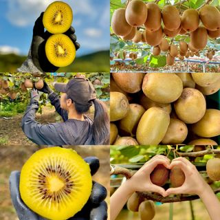 농부손녀님의 작성글 사진