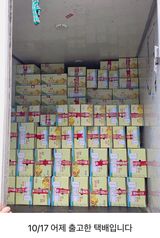 팜모닝 자유주제·자유게시판 게시글 이미지