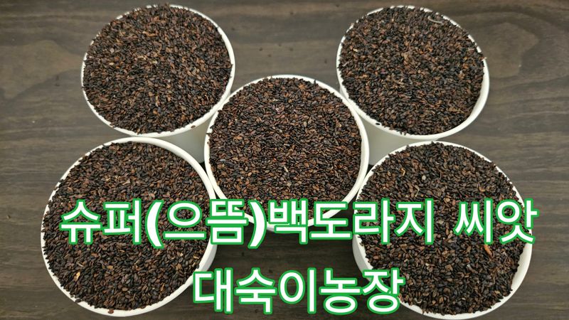 조병대님의 장터 판매 상품 [으뜸백도라지 종근용 ] 첨부 사진