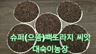 조병대님의 작성글 사진