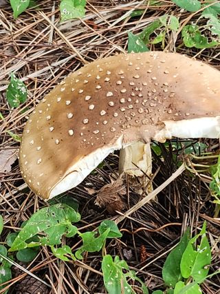 석헌님의 자유주제 · 자유게시판 작성글 사진