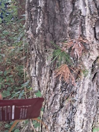 시금치6781님의 자유주제 · 자유게시판 작성글 사진