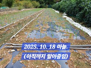 박성민님의 자유주제 · 자유게시판 작성글 사진