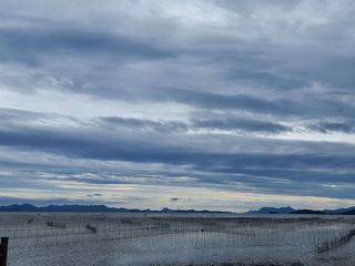 연향님의 자유주제 · 자유게시판 작성글 사진